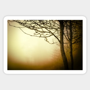 Warm golden fog with trees Sticker